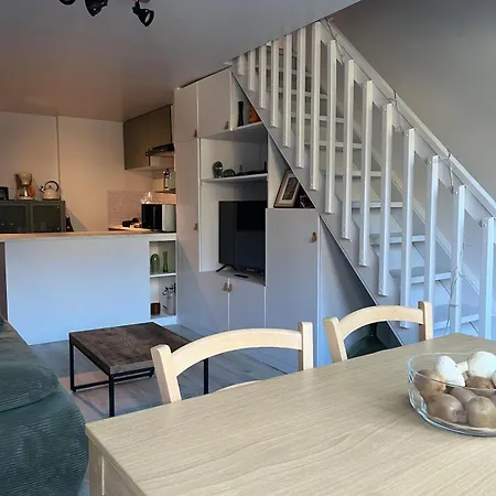 Apartamento Duplex Vielle-Aure